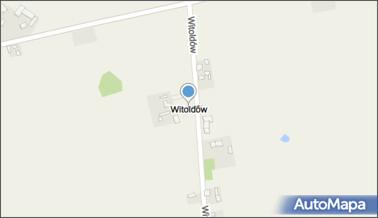 Witoldów (powiat kutnowski), Witoldów - Inne