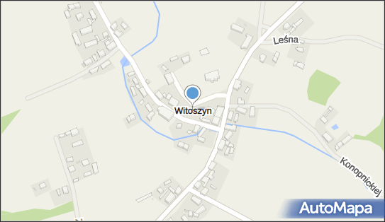 Witoszyn (województwo lubuskie), Witoszyn - Inne