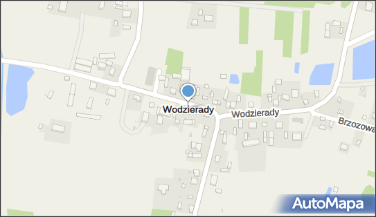 Wodzierady, Wodzierady - Inne