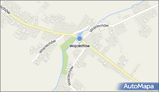 Wojciechów (powiat kazimierski), Wojciechów - Inne