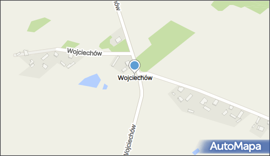 Wojciechów (powiat włoszczowski), Wojciechów - Inne