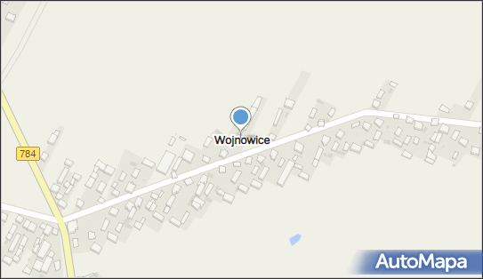 Wojnowice (województwo łódzkie), Wojnowice - Inne