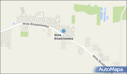 Wola Brzeźniowska, Wola Brzeźniowska - Inne