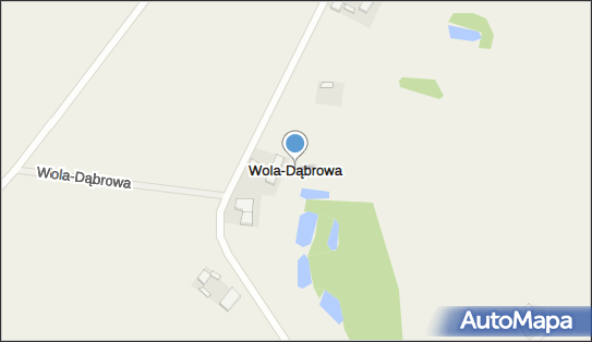 Wola-Dąbrowa, Wola-Dąbrowa - Inne