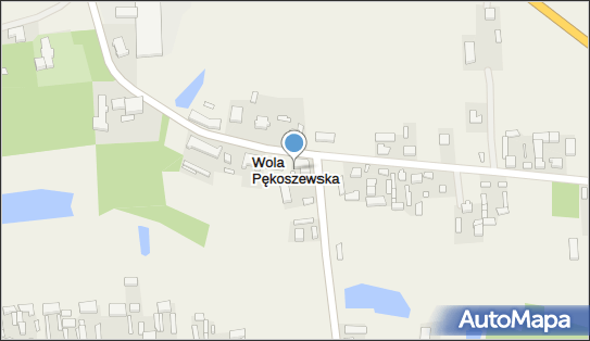 Wola Pękoszewska, Wola Pękoszewska - Inne