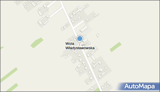 Wola Władysławowska, Wola Władysławowska - Inne