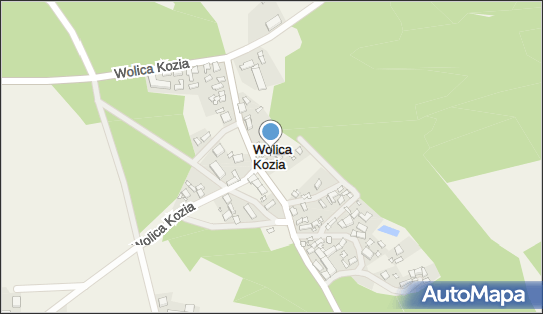 Wolica Kozia, Wolica Kozia - Inne