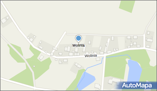 Wolinia, Wolinia - Inne