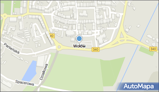 Wołów, Wołów - Inne