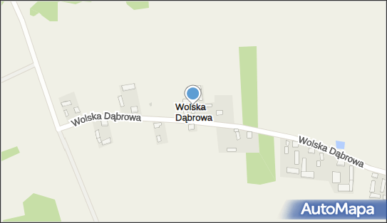 Wolska Dąbrowa, Wolska Dąbrowa - Inne