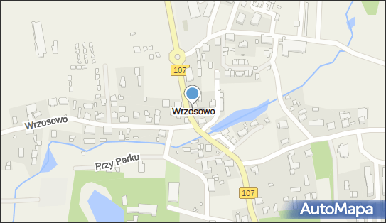 Wrzosowo (powiat kamieński), Wrzosowo - Inne
