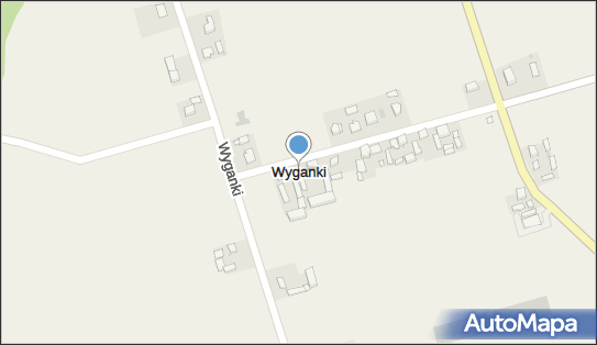 Wyganki, Wyganki - Inne