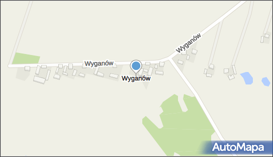 Wyganów (województwo łódzkie), Wyganów - Inne