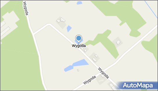 Wygoda (powiat aleksandrowski), Wygoda - Inne