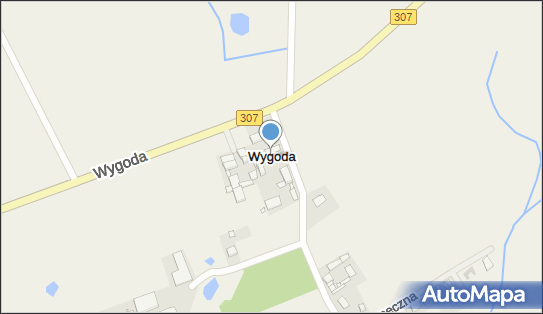 Wygoda (powiat poznański), Wygoda - Inne