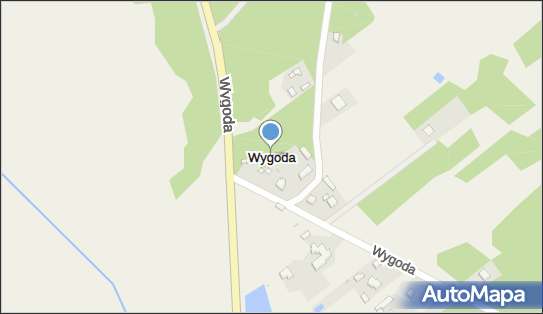 Wygoda (powiat radomszczański), Wygoda - Inne