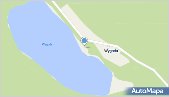 Wygoda (powiat wejherowski), Sopieszyno - Inne