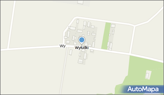 Wyłudki, Wyłudki - Inne