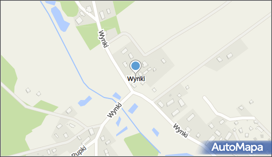 Wynki, Wynki - Inne