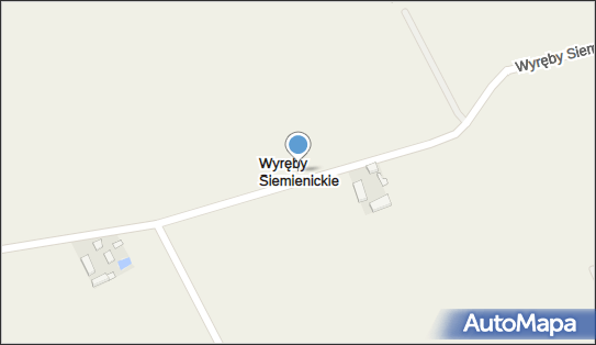 Wyręby Siemienickie, Wyręby Siemienickie - Inne