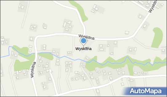 Wyskitna, Wyskitna - Inne