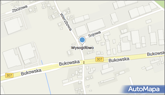 Wysogotowo, Wysogotowo - Inne