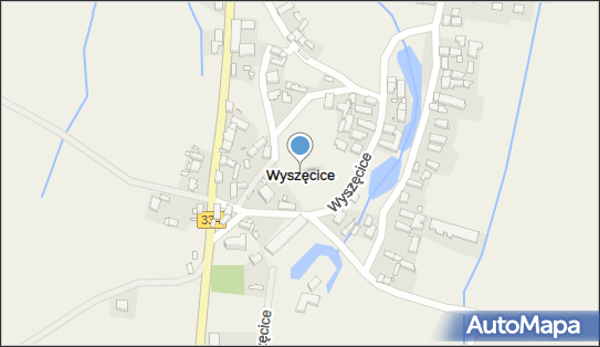 Wyszęcice, Wyszęcice - Inne