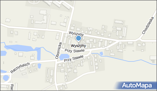 Wyszyny, Wyszyny - Inne