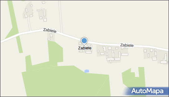 Zabiele (powiat mławski), Zabiele - Inne