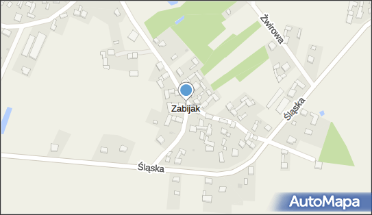 Zabijak (województwo śląskie), Zabijak - Inne