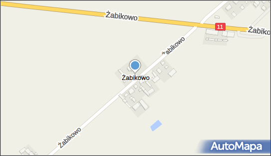 Żabikowo, Żabikowo - Inne