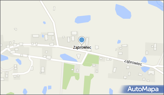 Ząbrowiec, Ząbrowiec - Inne