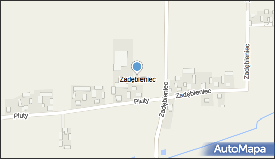 Zadębieniec, Zadębieniec - Inne