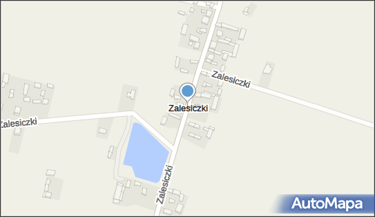 Zalesiczki, Zalesiczki - Inne