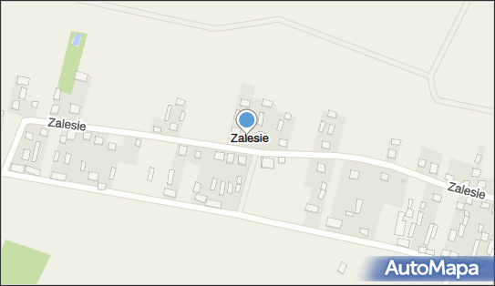 Zalesie (gmina Nurzec-Stacja), Zalesie - Inne