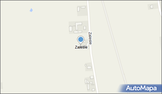 Zalesie (gmina Wartkowice), Zalesie - Inne