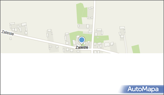 Zalesie (gmina Zelów), Zalesie - Inne