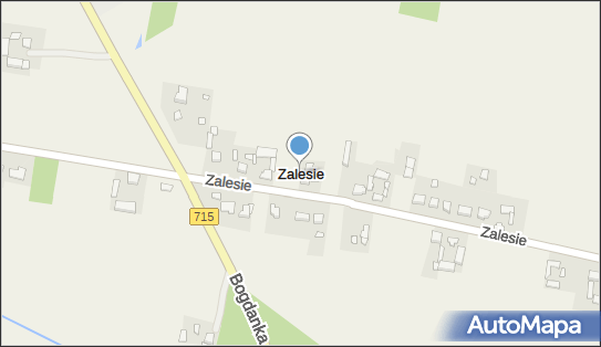 Zalesie (powiat brzeziński), Zalesie - Inne
