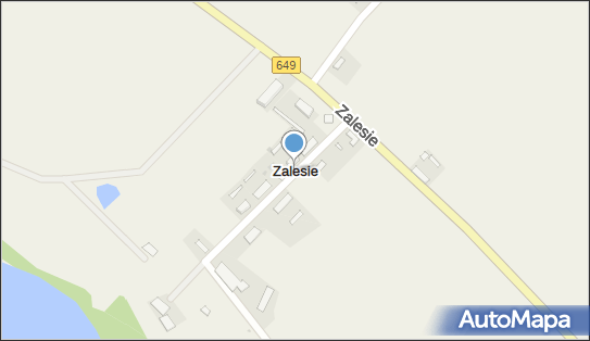 Zalesie (powiat chełmiński), Zalesie, Zalesie 87-140 - Inne