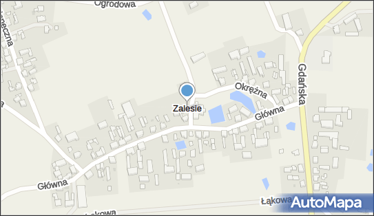 Zalesie (powiat chojnicki), Zalesie - Inne