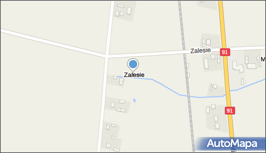 Zalesie (powiat kutnowski), Zalesie - Inne