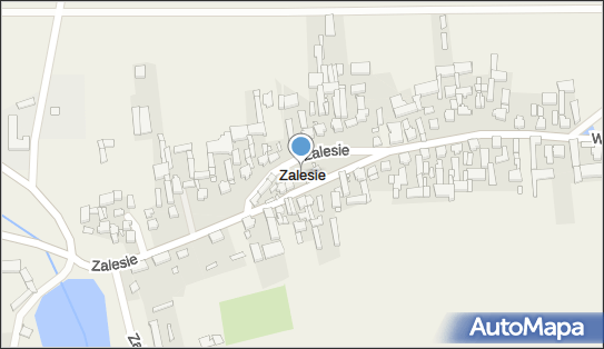 Zalesie (powiat rawicki), Zalesie - Inne