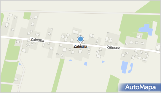 Zalesna, Zalesna - Inne