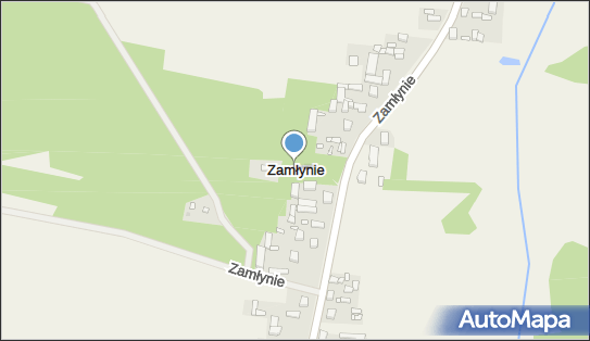 Zamłynie (powiat brzeziński), Zamłynie - Inne