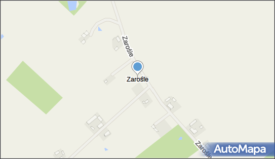 Zarośle (gmina Zbiczno), Zarośle - Inne