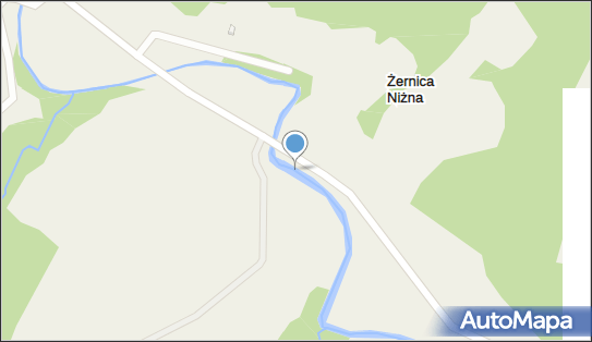 Żernica Niżna, Żernica Niżna - Inne