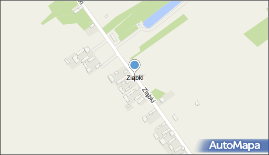 Ziąbki, Ziąbki - Inne