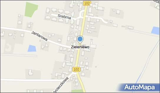 Zieleniewo (powiat koszaliński), Zieleniewo - Inne