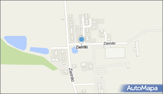 Zielniki, Zielniki - Inne