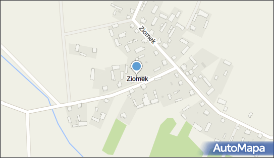 Ziomek, Ziomek - Inne